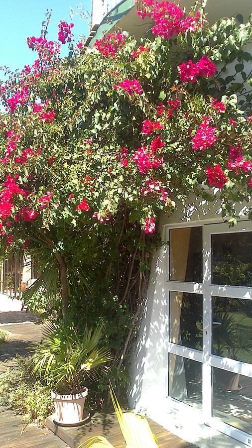 Cape Oasis 3* Bloubergstrand